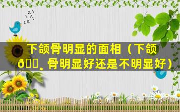 下颌骨明显的面相（下颌 🕸 骨明显好还是不明显好）